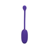 Rechargeable Kegel Ball Starter